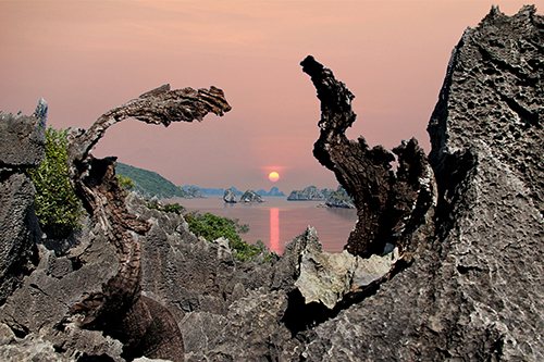 Dawn in Ha Long. Photo: Nguyen Tien Thuyen